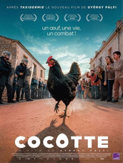 Cocotte