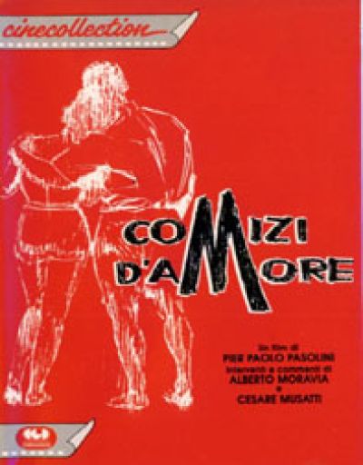 Comizi d'amore (Enquête sur la sexualité)