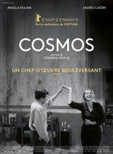 Cosmos