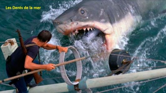JAWS-ADO.jpg