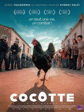 Cocotte