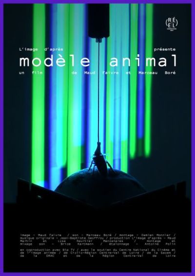 Modèle animal