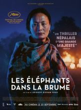 Les Éléphants dans la brume