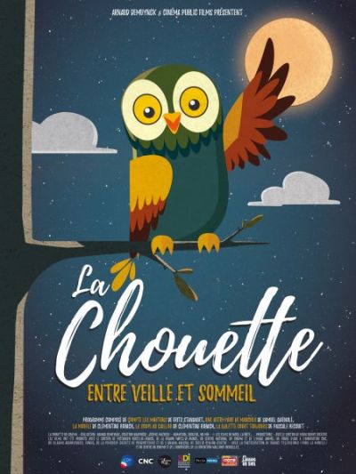 la chouette entre veille et sommeil