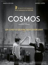 Cosmos