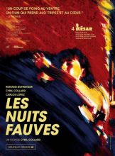 Les Nuits Fauves