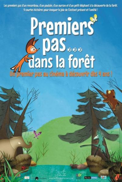 premiers pas dans la forêt