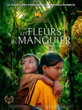Les Fleurs du manguier