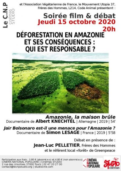 DEFORESTATION EN AMAZONIE ET SES CONSEQUENCES : QUI EST RESPONSABLE ?