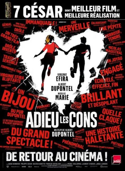 Affiche Adieu Les Cons