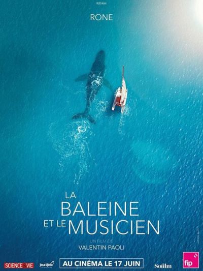 La Baleine et le musicien