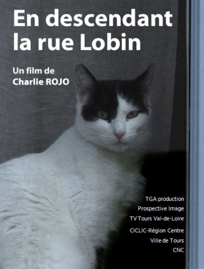 En descendant la rue Lobin
