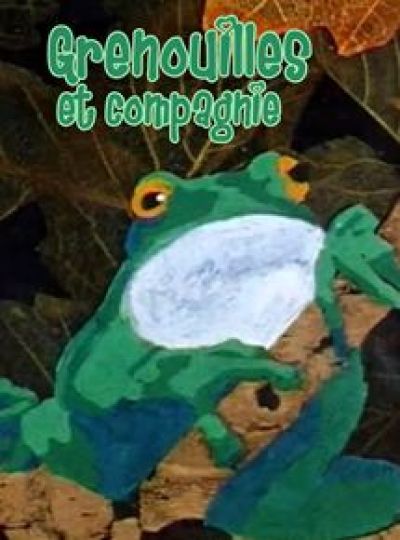 grenouilles et compagnie